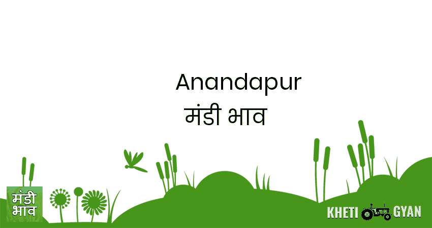 Anandapur मंडी भाव की ताज़ा तस्वीर