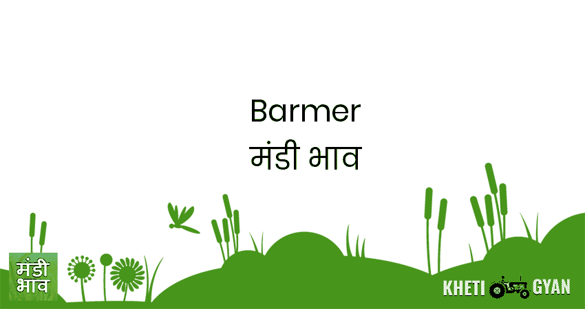 Barmer मंडी भाव की ताज़ा तस्वीर