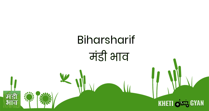 Biharsharif मंडी भाव की ताज़ा तस्वीर