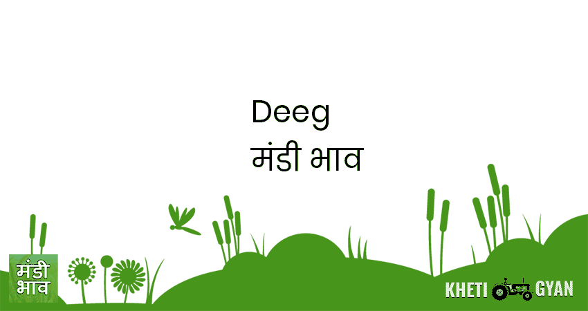 Deeg मंडी भाव की ताज़ा तस्वीर