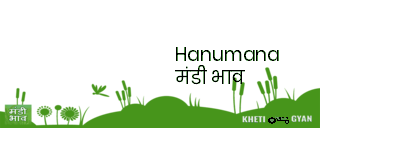 Mandi Image