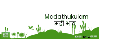 Mandi Image