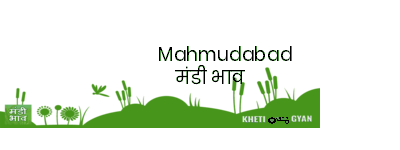 Mandi Image