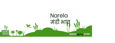 Mandi Image