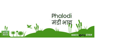 Mandi Image