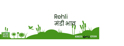 Mandi Image