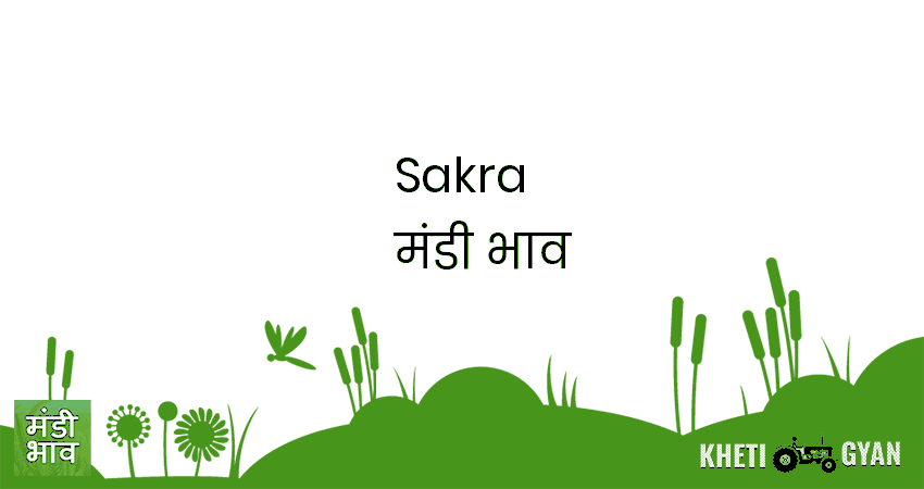 Sakra मंडी भाव की ताज़ा तस्वीर