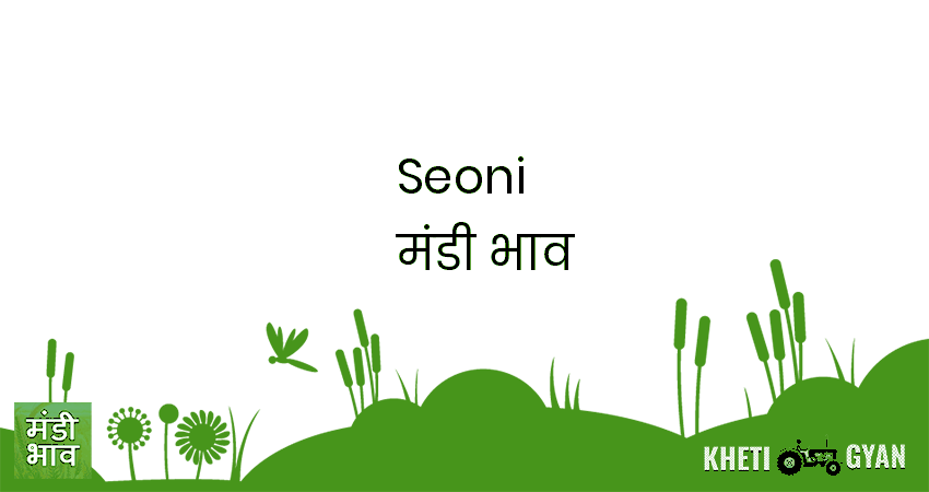 Seoni मंडी भाव की ताज़ा तस्वीर