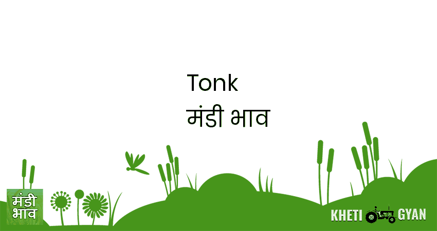 Tonk मंडी भाव की ताज़ा तस्वीर