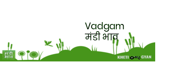 Mandi Image